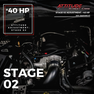 STAGE 2 