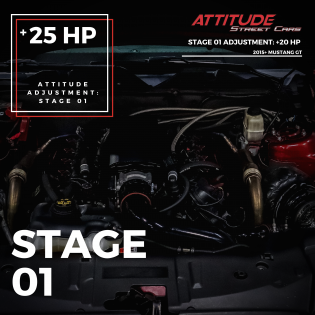 STAGE 1 