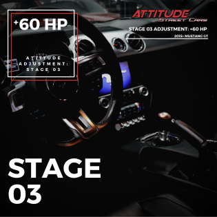 STAGE 3 