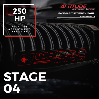 STAGE 4 